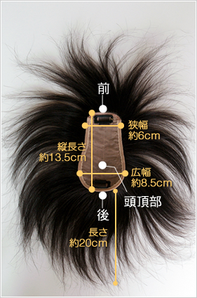 TP100B�x�[�X�T�C�Y