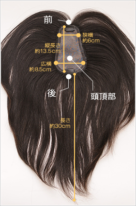 TP100R-MONO�x�[�X�T�C�Y